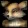 Vulpera icon