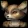 Vulpera icon