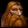 Dwarf icon
