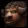 Tauren icon