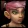 Gnome icon
