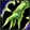 Restoration icon