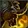 Brewmaster icon