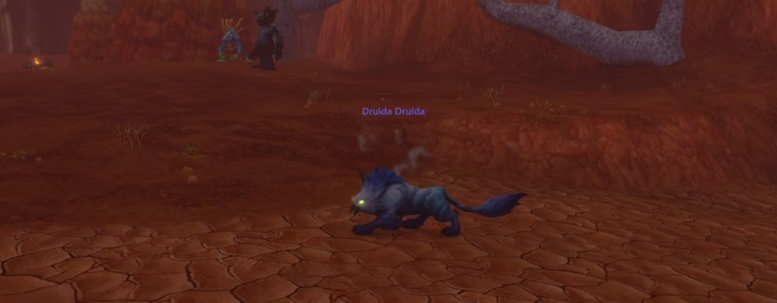Cat Form Druid Quest Bug Should Be Resolved