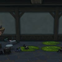 Place More Pets and Store More Decor in Patch 12.1