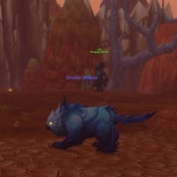 Druids Can Use Consumables While Shapeshifted in WoW: Forever