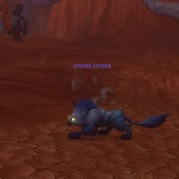 Players Struggling to Complete Druid Cat Form Quest in Forever Due to Quest Design