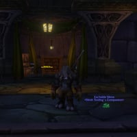 Earn Two New Pets in Capital Cities in WoW: Forever
