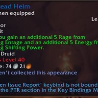 Wolfshead Helm Nerfed in Latest WoW: Forever Beta Build