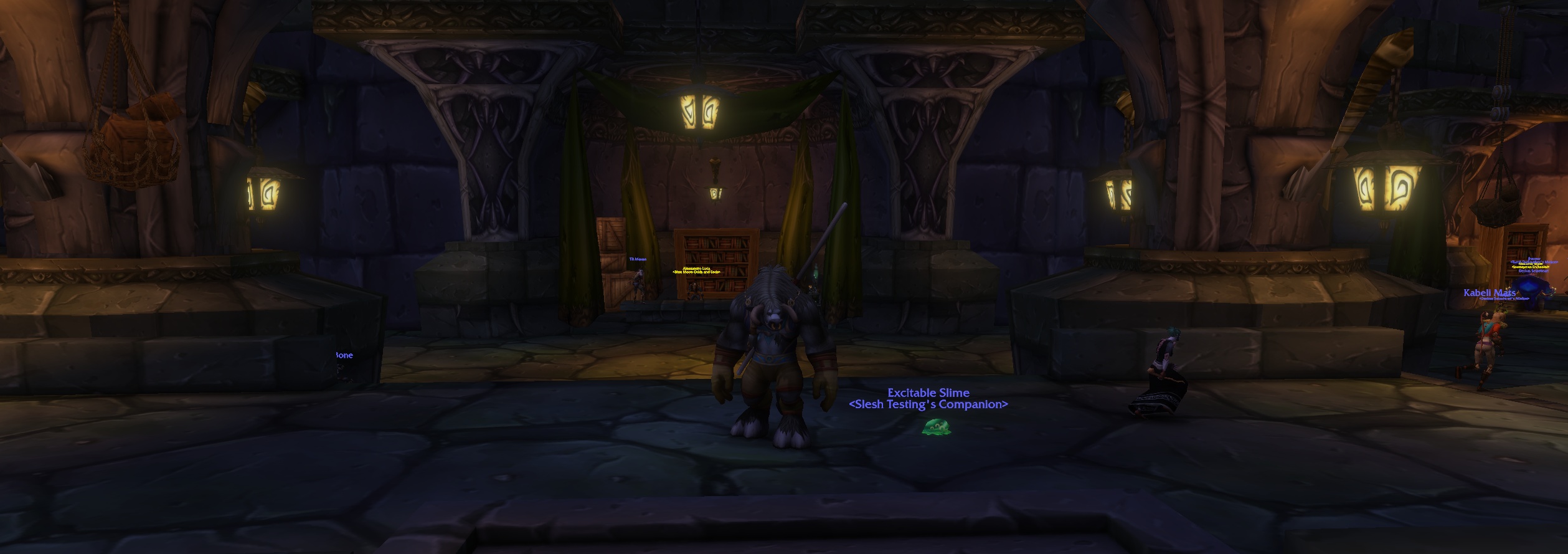 Earn Two New Pets in Capital Cities in WoW: Forever